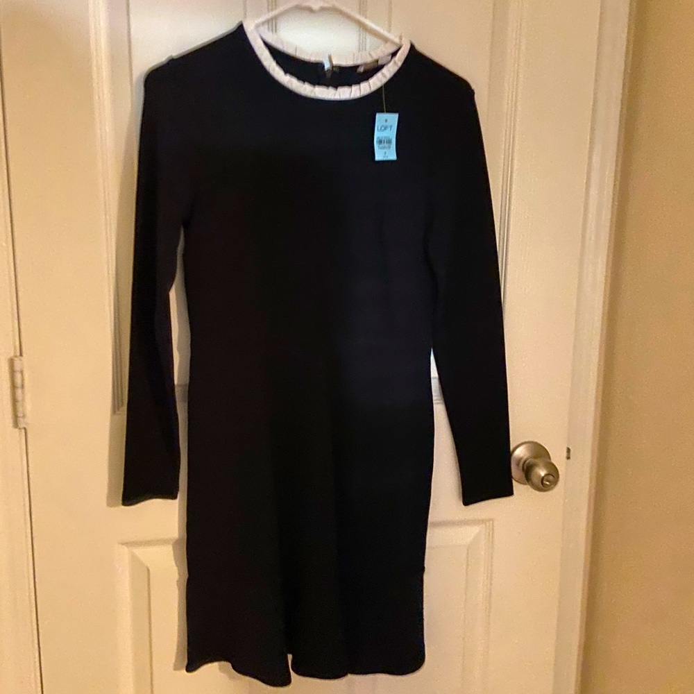 Loft Sweater Dress